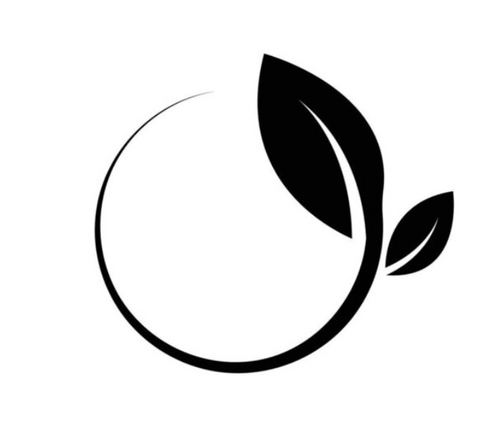 Shorty Fitness Store